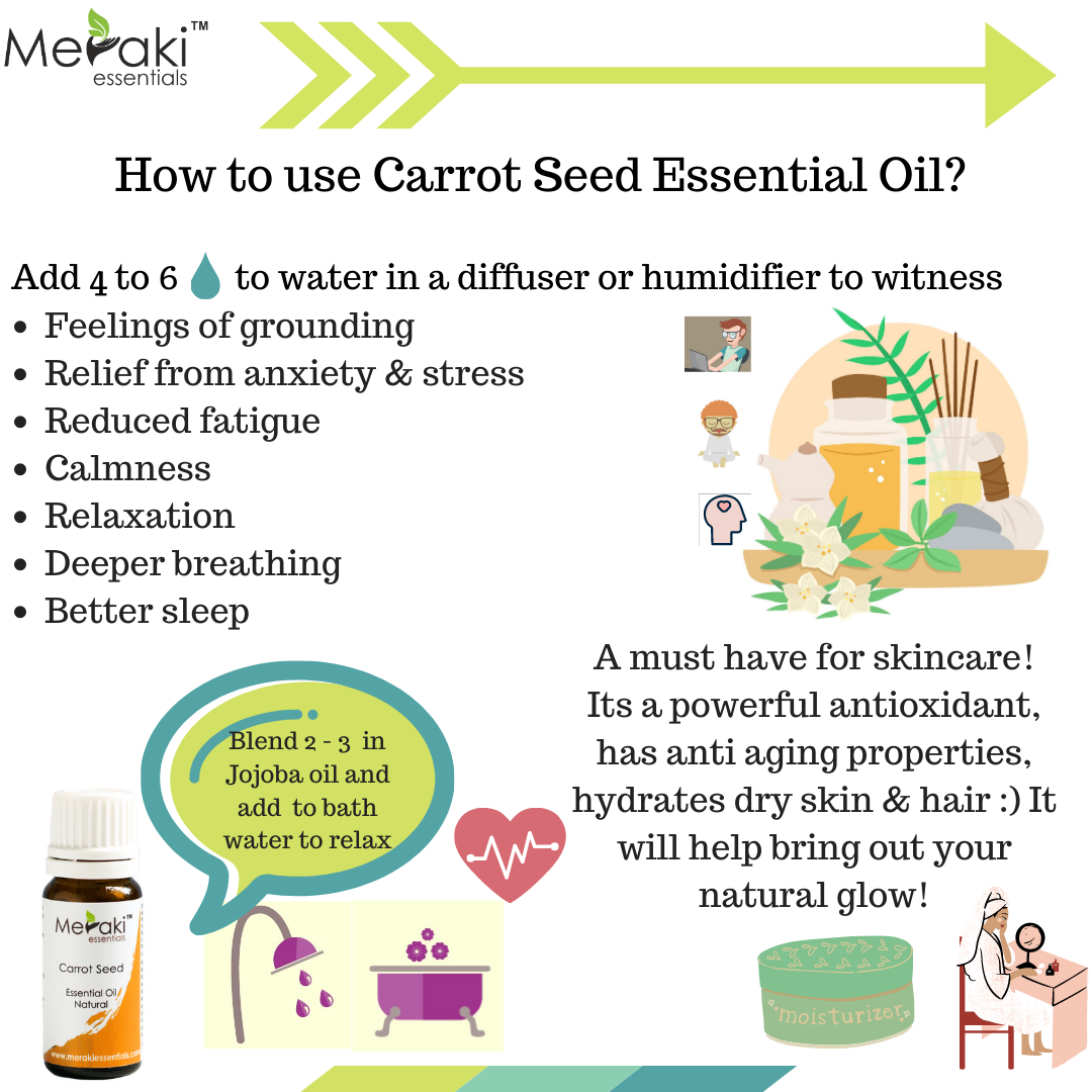 Carrot Seed Oil Benefits & Uses - Singapore Soap Supplies