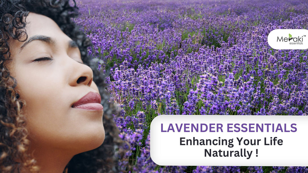 Lavender Essentials: Enhancing Your Life Naturally