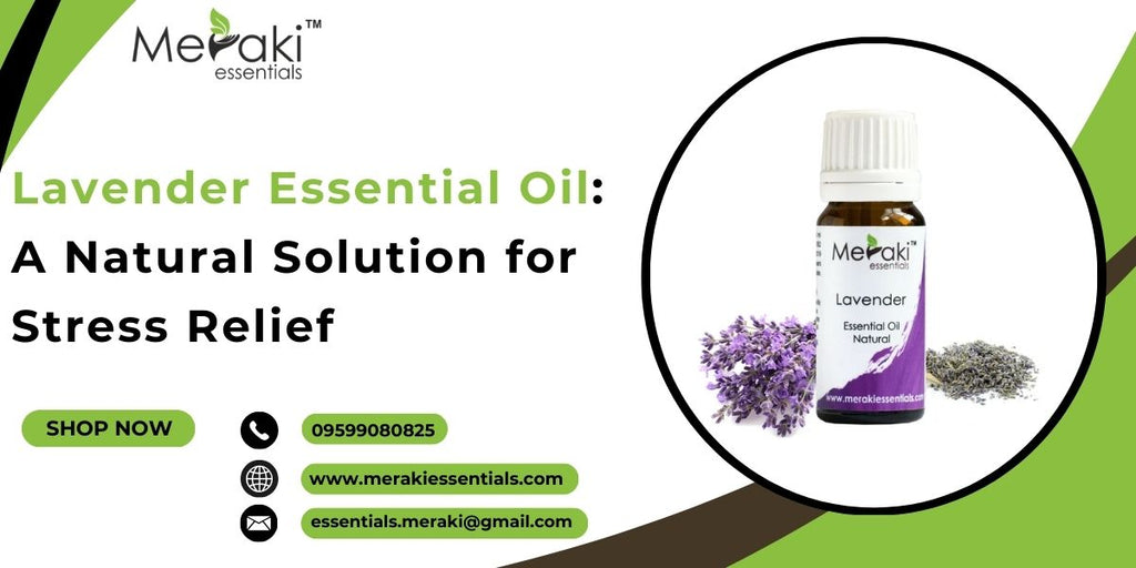 Lavender Essential Oil: A Natural Solution for Stress Relief
