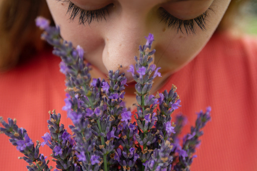 Top 10 Essential Oils To Relax Your Body And Mind