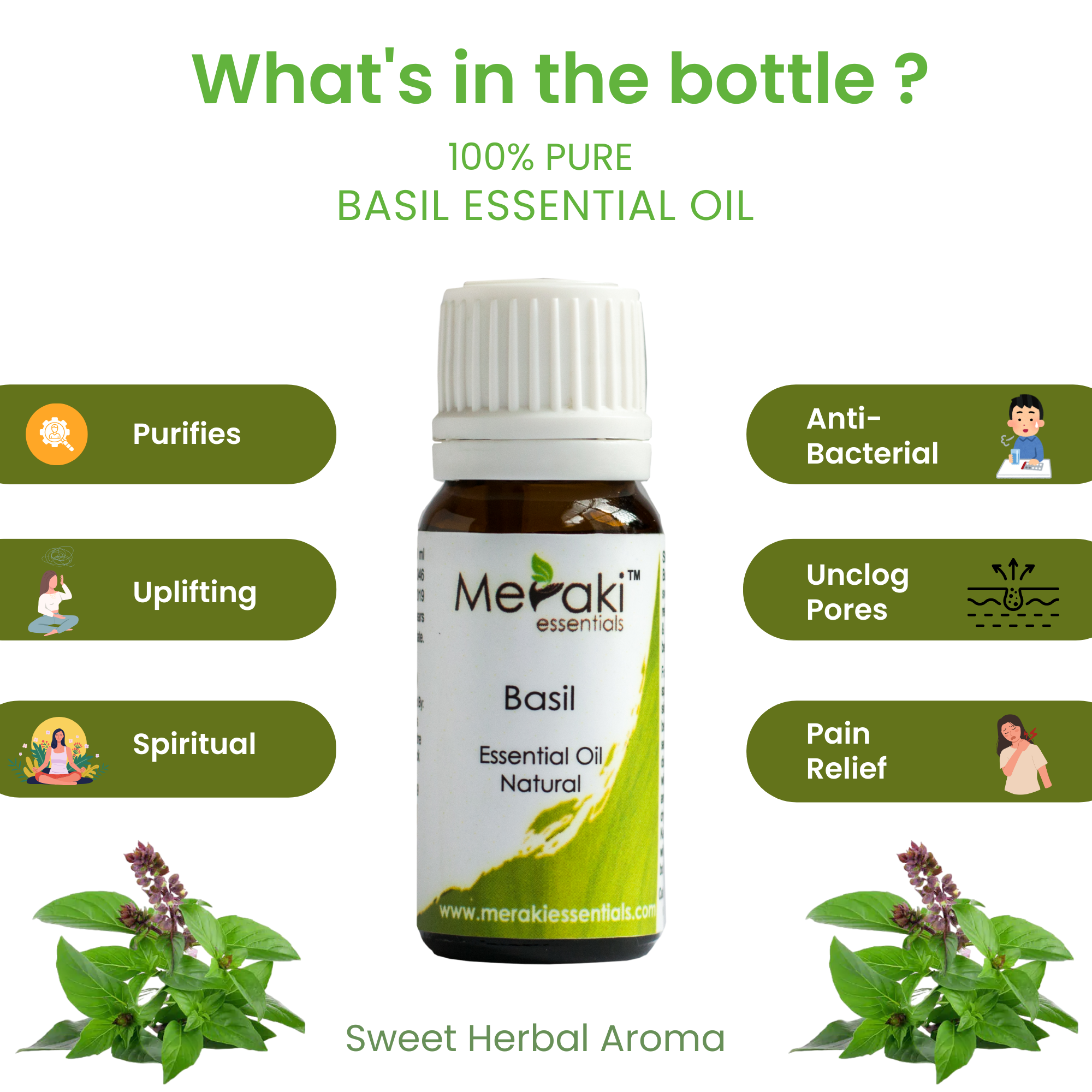 100% Pure & Natural Basil Essential Oil