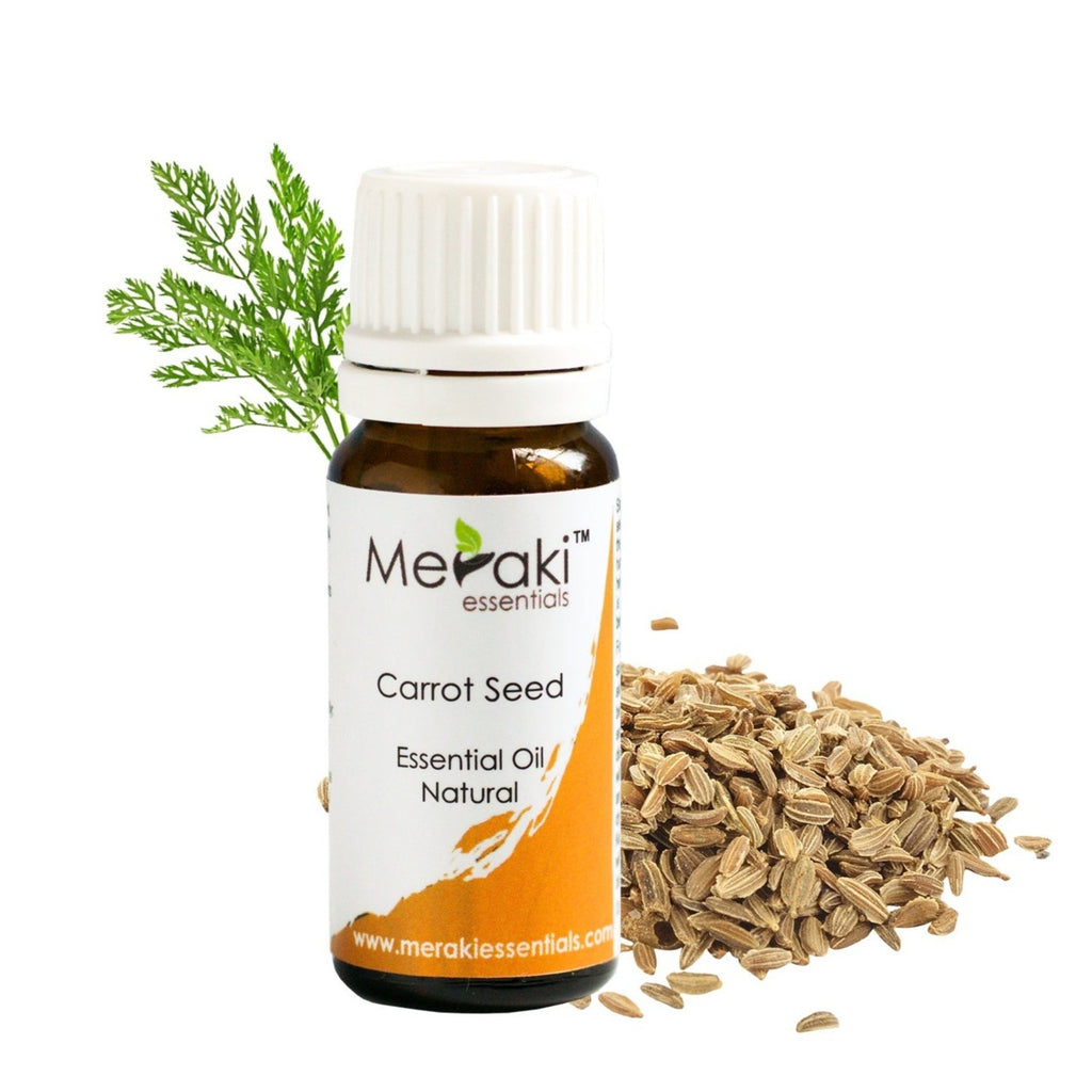 plant therapy carrot seed oil Carrot Seed Essential Oil - Natural Skincare Solution