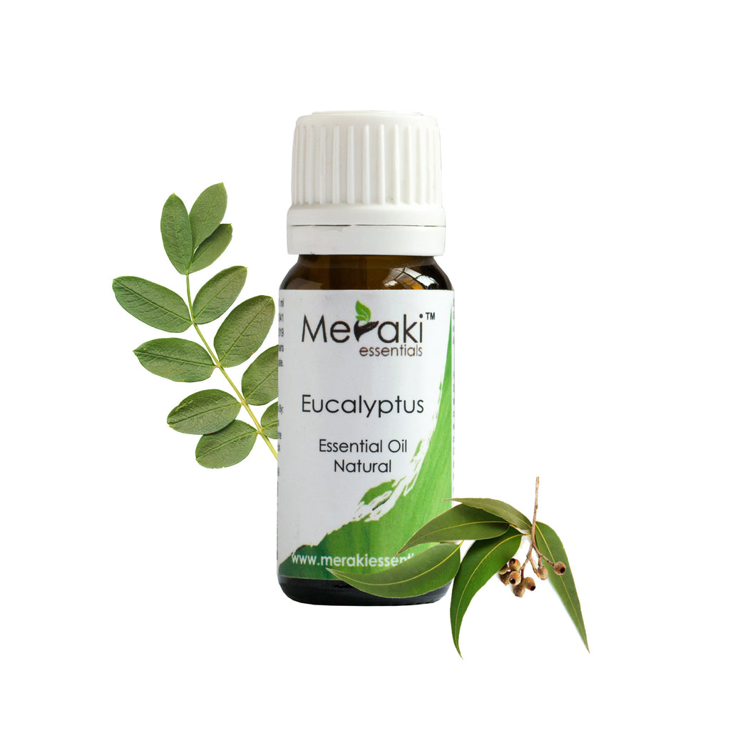  Eucalyptus Essential Oil 